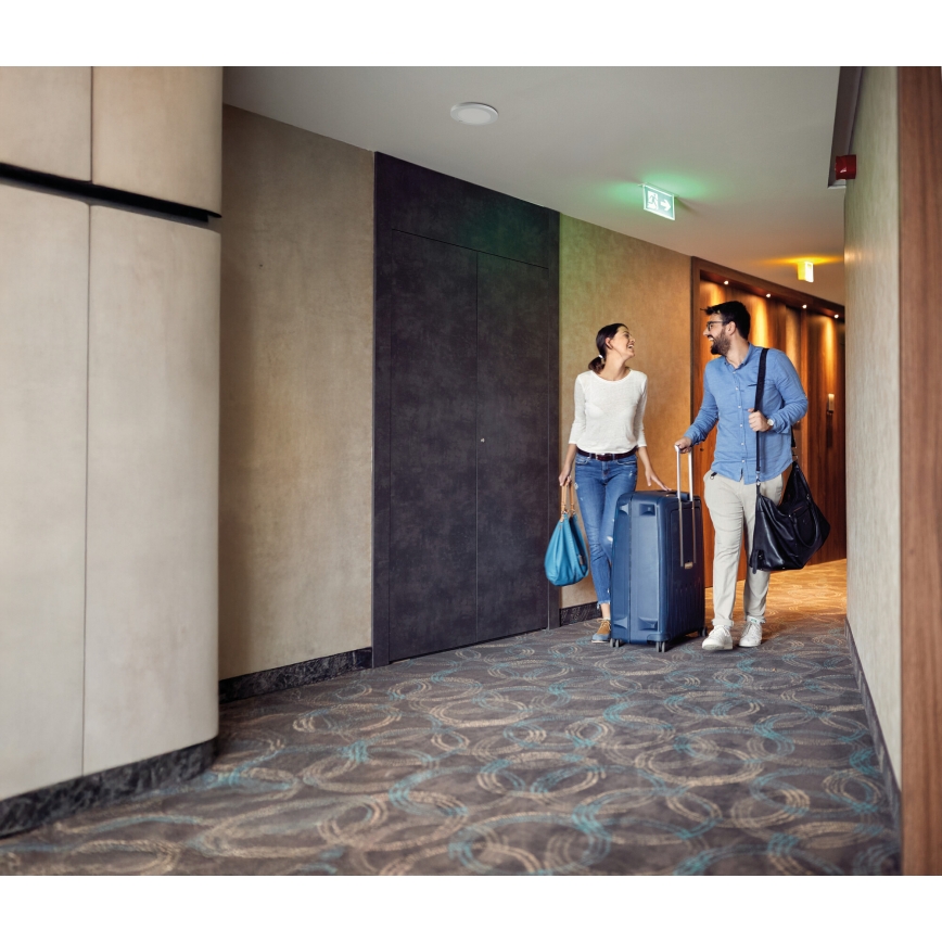 LED lubinis/įleidžiamas šviestuvas 2 viename ERGA LED/17W/230V 3000/4000/6500K baltas