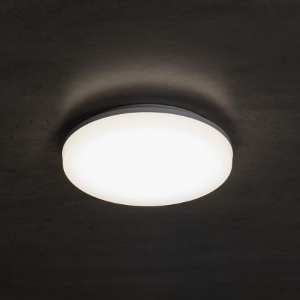 LED lubinis šviestuvas VARSO LED/22/30W/230V 3000/4000/6500K Ø 33 cm IP54