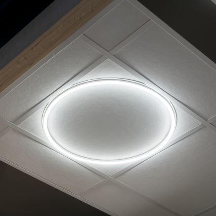 LED Įleidžiamas rėmas AVAR LED/40W/230V 4000K diametras 59 cm