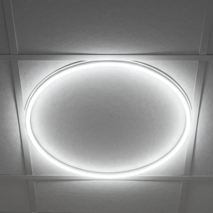 LED Įleidžiamas rėmas AVAR LED/40W/230V 4000K diametras 59 cm