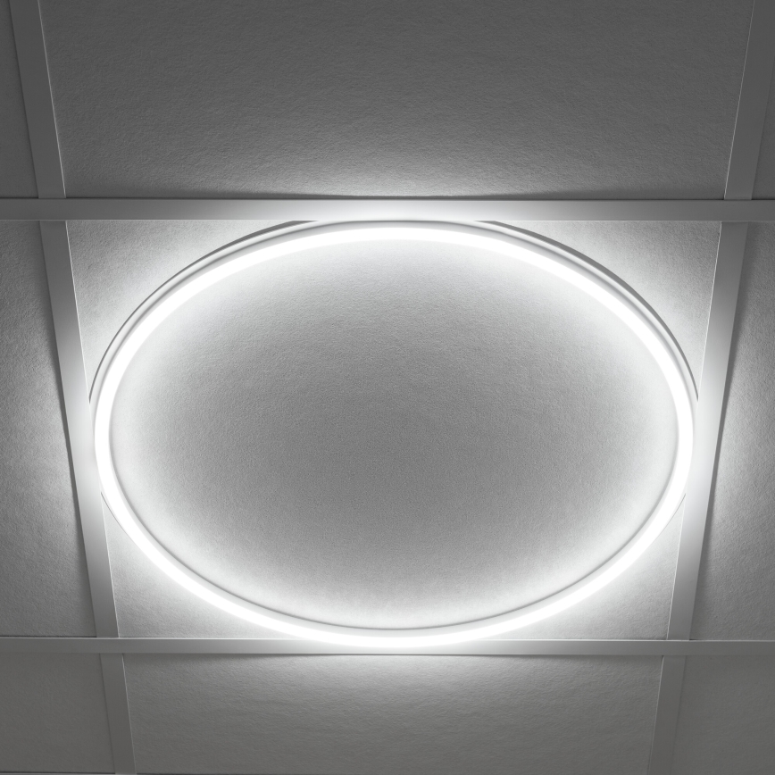 LED Įleidžiamas rėmas AVAR LED/40W/230V 4000K diametras 59 cm