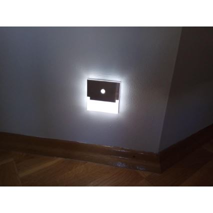 Kanlux 27375 - LED Laiptinės šviestuvas SABIK su jutikliu LED/0,8W/12V
