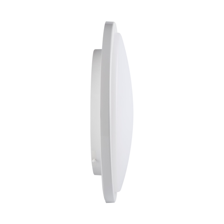 LED Vonios lubinis šviestuvas ORTE LED/24W/230V IP54