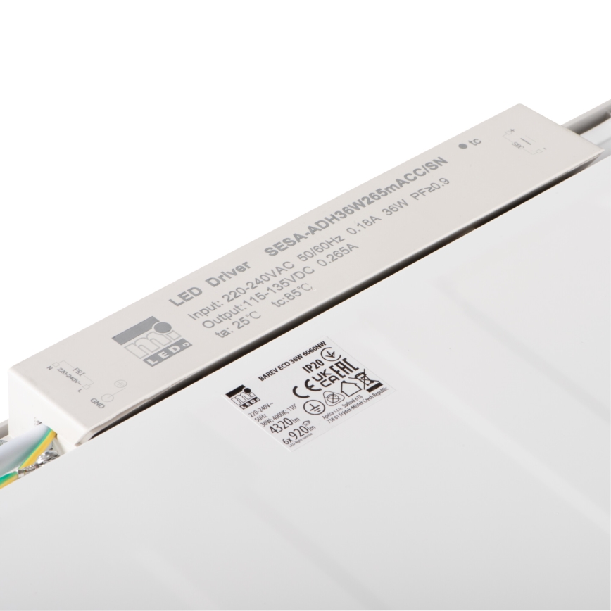 LED įleidžiama lubų panelė BAREV ECO LED/36W/230V 4000K 60x60 cm
