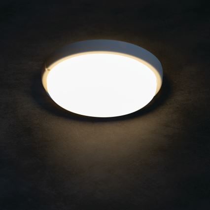 LED lubinis vonios šviestuvas TOLU LED/9W/230V 4000K IP54 balta