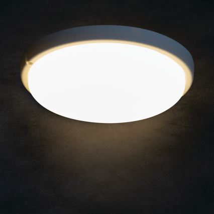 LED lubinis vonios šviestuvas TOLU LED/18W/230V 4000K IP54 balta