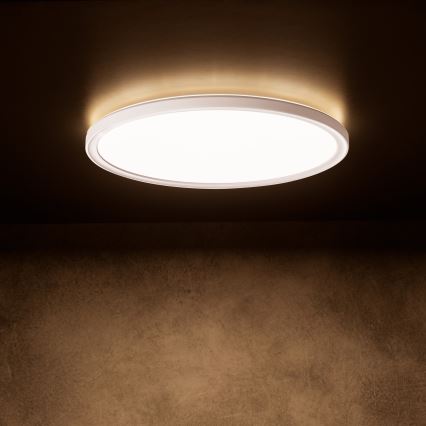 LED lubinis šviestuvas AZPO, 11,8 W, 230 V, 3000/4000/6000 K, Ø 22,5 cm, IP54, baltas