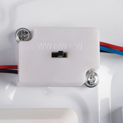 LED vonios kambario lubinis šviestuvas CORSO LED/18W/230V 3000/4000/6500K Ø 33 cm IP44