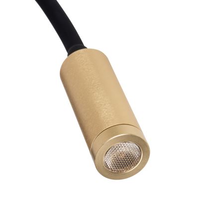 Lanksčioji LED lempa TONIL LED/3,3W/230V juoda/auksinė