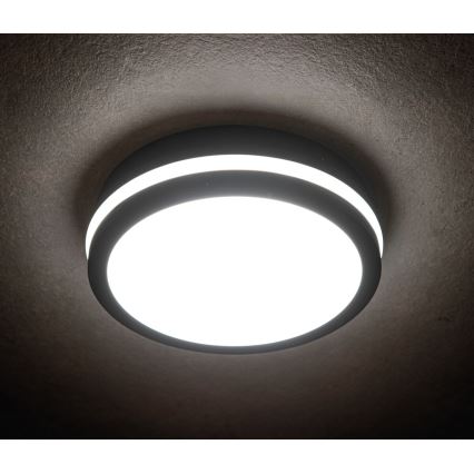 LED Lauko šviestuvas su jutikliu BENO LED/18W/230V 4000K antracitas IP54