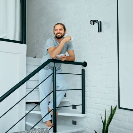 LED laiptų šviestuvas ERINUS LED/0,8W/12V 4000K juodas