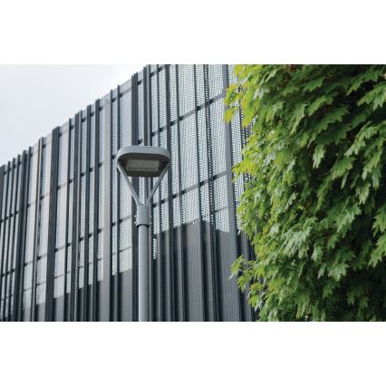 LED gatvės šviestuvas PARCOLI LED/30/40/50W/230V 3000/4000/6500K IP66 pilka