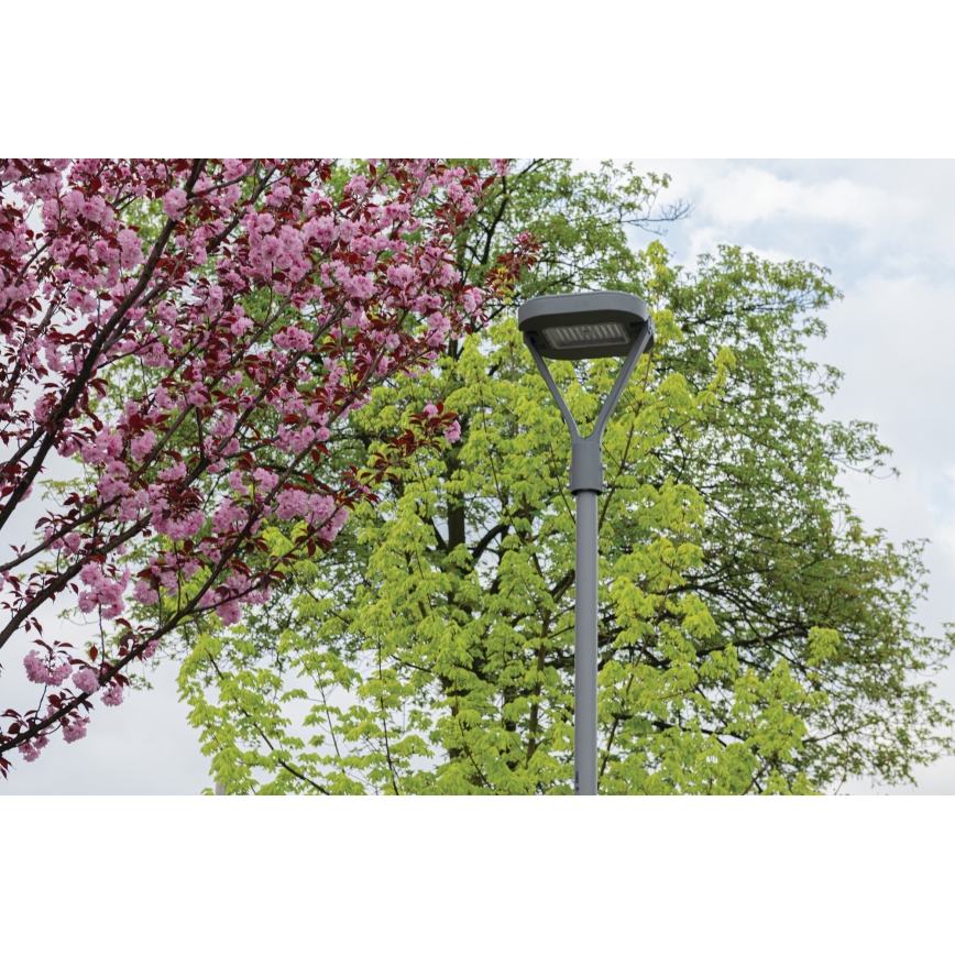 LED gatvės šviestuvas PARCOLI LED/30/40/50W/230V 3000/4000/6500K IP66 pilka
