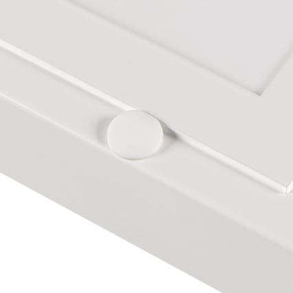 LED Ant pagrindo montuojama panelė BLINGO LED/34W/230V 4000K 60x60 cm