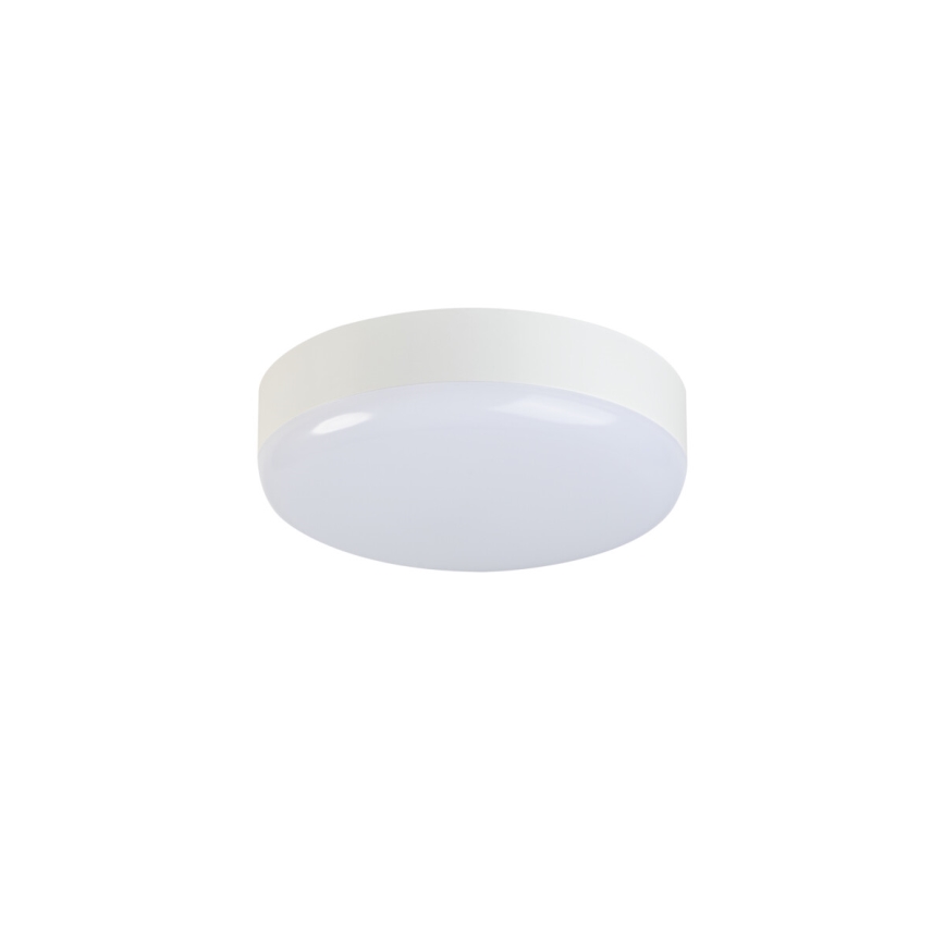 LED Darbinis lubinis šviestuvas IPER LED/19W/230V IK10 IP65 apvalus balta