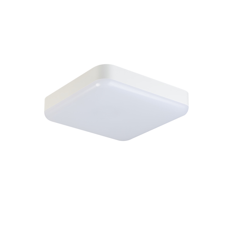 LED Darbinis lubinis šviestuvas IPER LED/26W/230V IK10 IP65 kampinis balta
