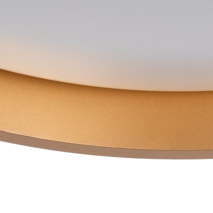LED lubinis šviestuvas SOLN LED/17,5W/230V diametras 38 cm balta/auksas