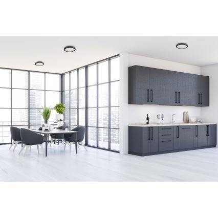 LED lubinis lauko šviestuvas BENO E LED/12W/230V 3000/4000/6500K diametras 20 cm IP65 juoda