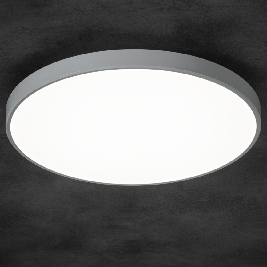 LED Pritemdomas lubinis šviestuvas PLAFON LED/20W/230V 3000-6500K Wi-Fi balta