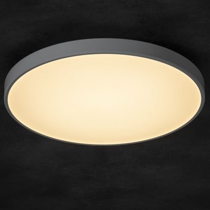 LED Pritemdomas lubinis šviestuvas PLAFON LED/20W/230V 3000-6500K Wi-Fi balta