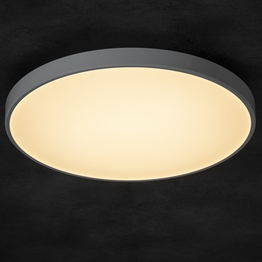 LED Pritemdomas lubinis šviestuvas PLAFON LED/20W/230V 3000-6500K Wi-Fi balta