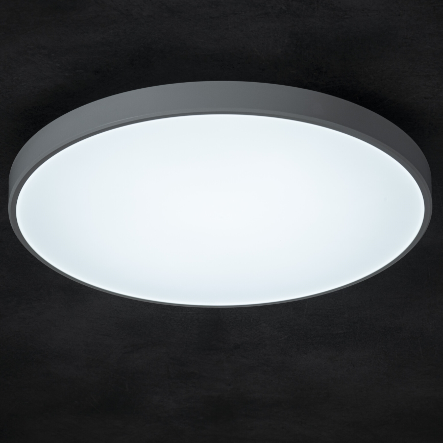 LED Pritemdomas lubinis šviestuvas PLAFON LED/20W/230V 3000-6500K Wi-Fi balta