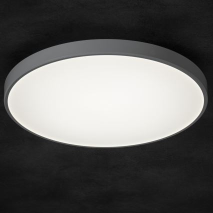 LED Pritemdomas lubinis šviestuvas PLAFON LED/20W/230V 3000-6500K Wi-Fi balta