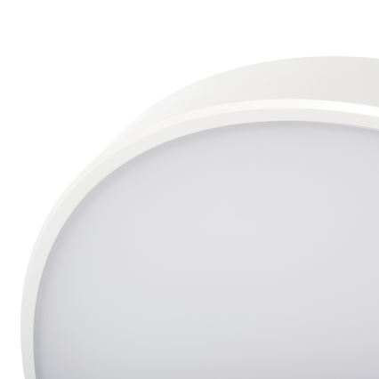 LED Pritemdomas lubinis šviestuvas PLAFON LED/20W/230V 3000-6500K Wi-Fi balta