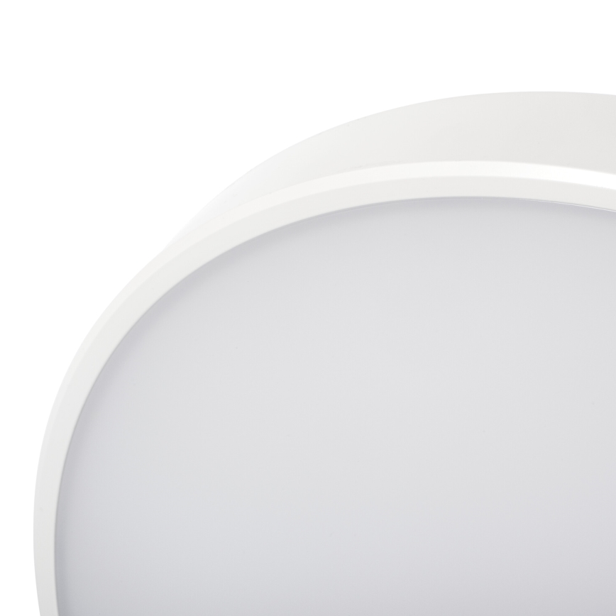 LED Pritemdomas lubinis šviestuvas PLAFON LED/20W/230V 3000-6500K Wi-Fi balta