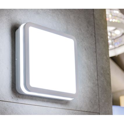 LED lubinis lauko šviestuvas su judesio jutikliu BENO LED/12/18W/230V 3000/3500/4000K IP65 balta kampinis