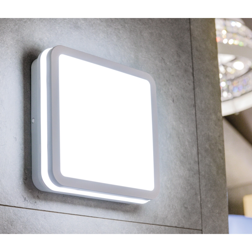 LED lubinis lauko šviestuvas su judesio jutikliu BENO LED/12/18W/230V 3000/3500/4000K IP65 balta kampinis