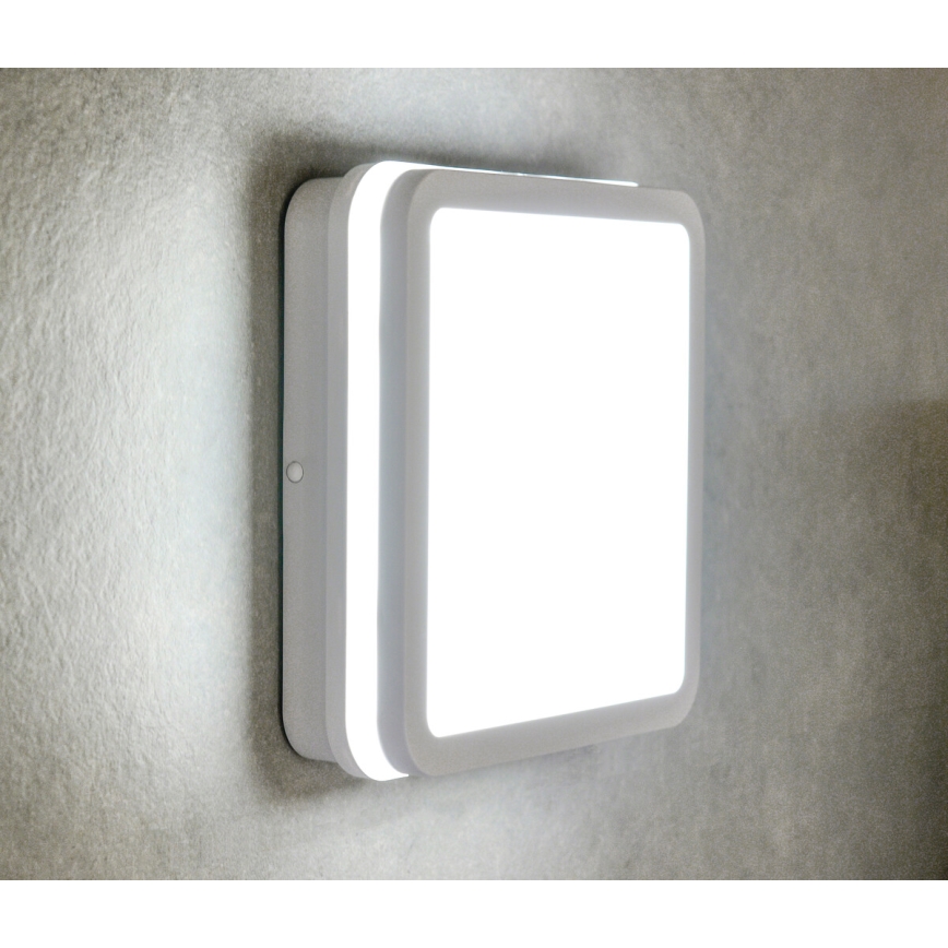 LED lubinis lauko šviestuvas su judesio jutikliu BENO LED/12/18W/230V 3000/3500/4000K IP65 balta kampinis