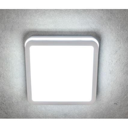 LED lubinis lauko šviestuvas su judesio jutikliu BENO LED/12/18W/230V 3000/3500/4000K IP65 balta kampinis
