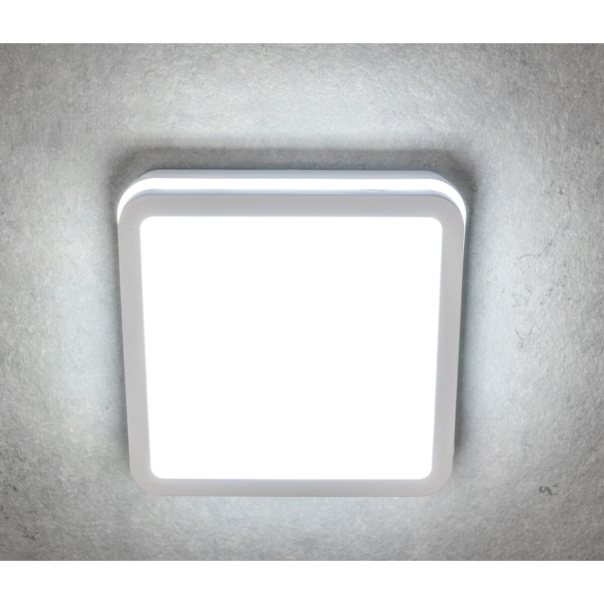 LED lubinis lauko šviestuvas su judesio jutikliu BENO LED/12/18W/230V 3000/3500/4000K IP65 balta kampinis