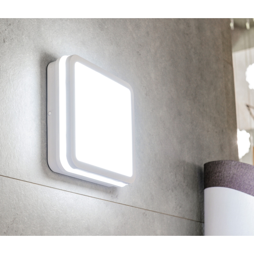 LED lubinis lauko šviestuvas su judesio jutikliu BENO LED/12/18W/230V 3000/3500/4000K IP65 balta kampinis