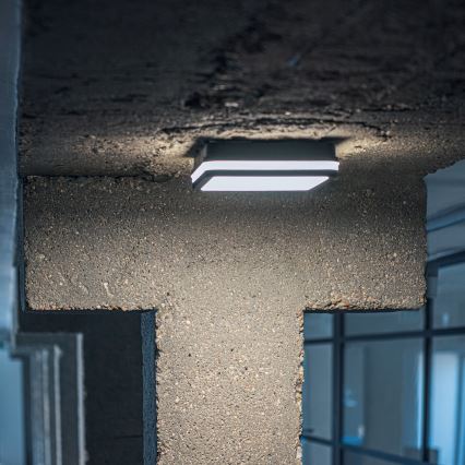 LED lubinis lauko šviestuvas BENO LED/12/18W/230V 3000/3500/4000K IP65 antracitas kampinis