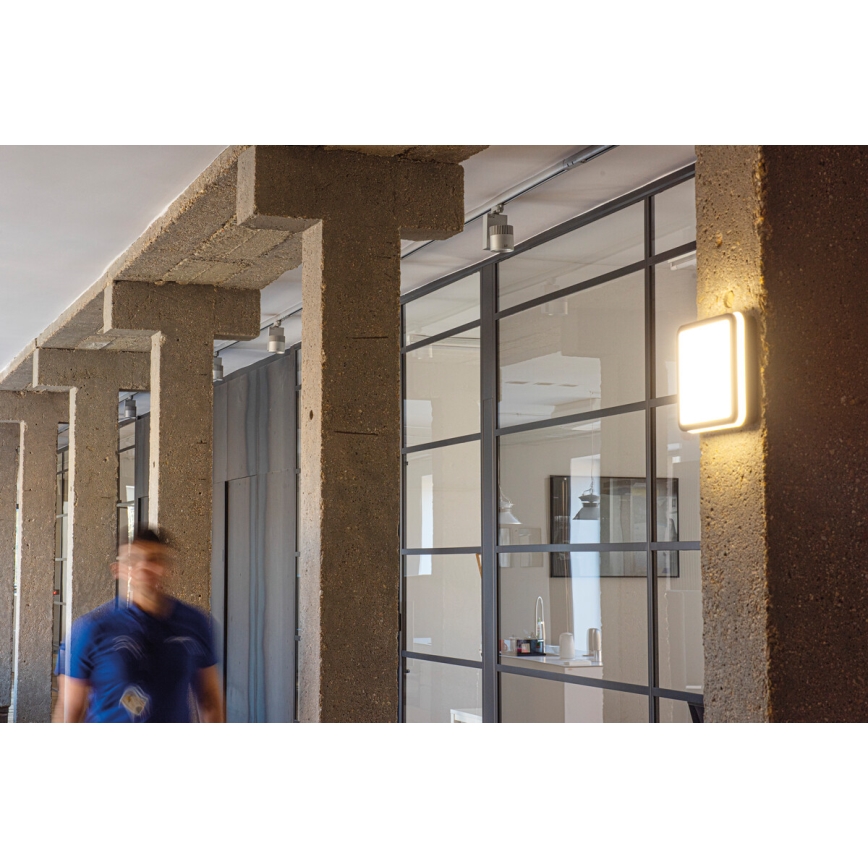 LED lubinis lauko šviestuvas BENO LED/12/18W/230V 3000/3500/4000K IP65 antracitas kampinis