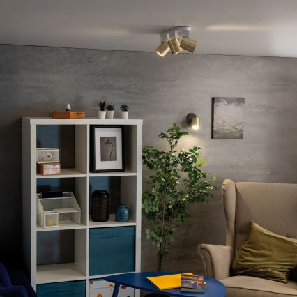 Sieninis akcentinis šviestuvas LAURIN 1xGU10/10W/230V žalvaris/juoda