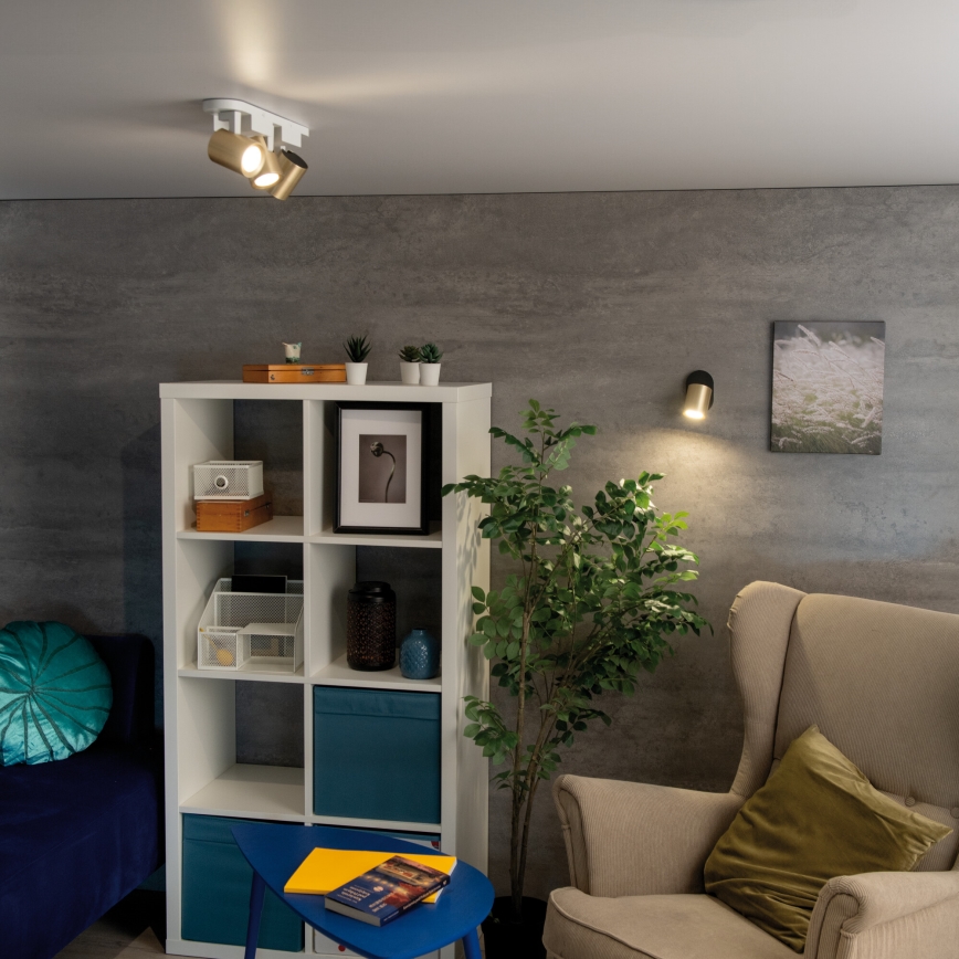 Akcentinis apšvietimas LAURIN 3xGU10/10W/230V žalvaris/balta