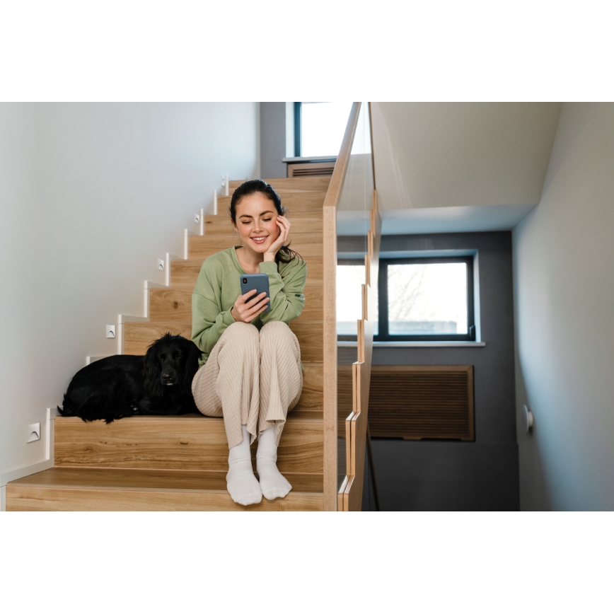 LED laiptų šviestuvas EXIN LED/2,5W/230V 4000K IP65 baltas kampuotas