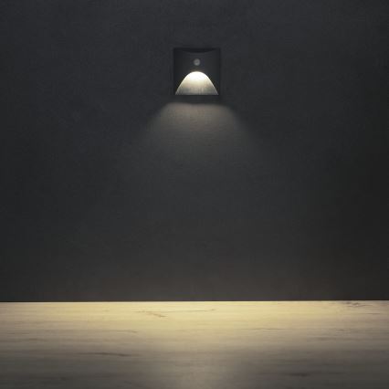 LED laiptų šviestuvas su judesio ir sutemų jutikliu EXIN LED/2,5W/230V 4000K IP65 kvadratinis antracito spalvos