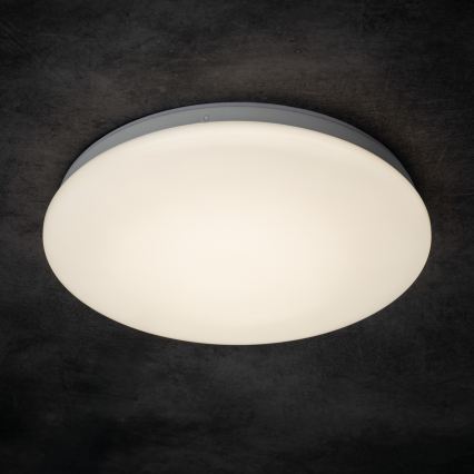 LED vonios kambario lubinis šviestuvas ENELO LED/17W/230V Ø 32 cm IP44
