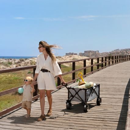 KINDERKRAFT - Sulankstomas transportinis vežimėlis WAGON ROLLSTER, pilkas