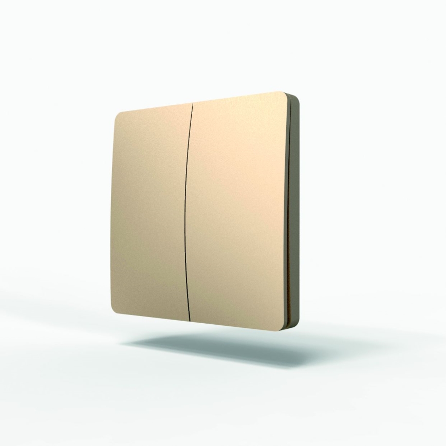 Kinetinis belaidis jungiklis 2P IP67 auksinis