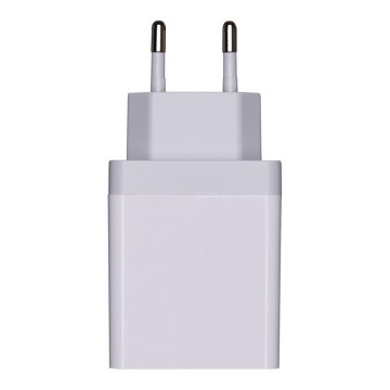 Kištukinis lizdas USB adapteris QUICK 230V / 1,5–3,0A