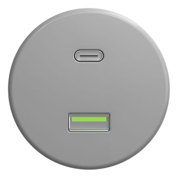 Kliklap - Retro USB lizdas A+C be rėmelio pilkas
