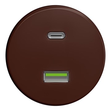 Kliklap - Retro USB lizdas A+C be rėmelio, rudos spalvos