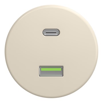 Kliklap - retro USB lizdas A+C be rėmelio, smėlio spalvos