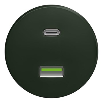 Kliklap - Retro USB lizdas A+C be rėmelio žalias