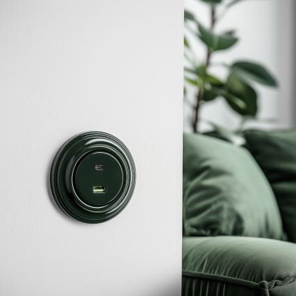 Kliklap - Retro USB lizdas A+C su rėmeliu, žalias